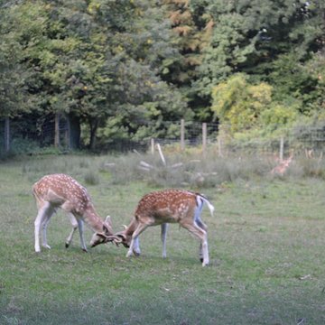Château de Moidière