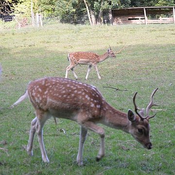Château de Moidière