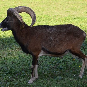 Château de Moidière