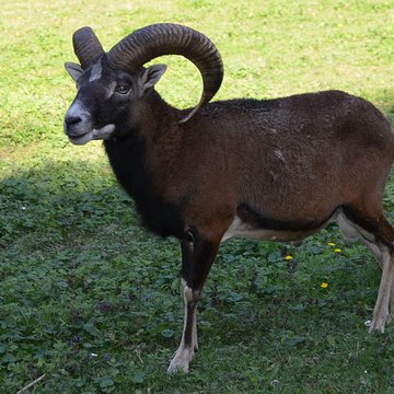 Château de Moidière