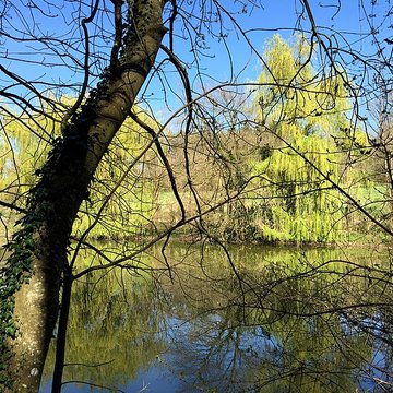 Château de Moidière
