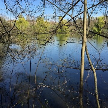Château de Moidière
