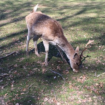 Château de Moidière