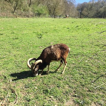 Château de Moidière