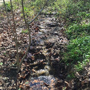 Château de Moidière