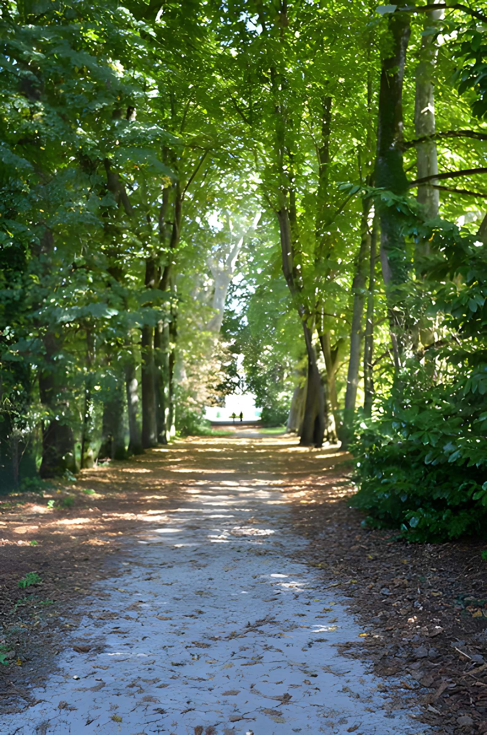 Château de Moidière