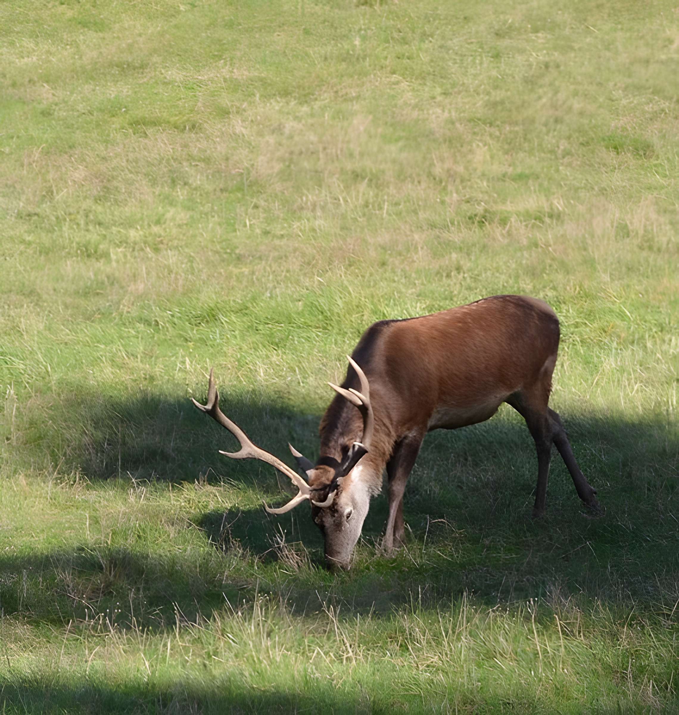 Château de Moidière