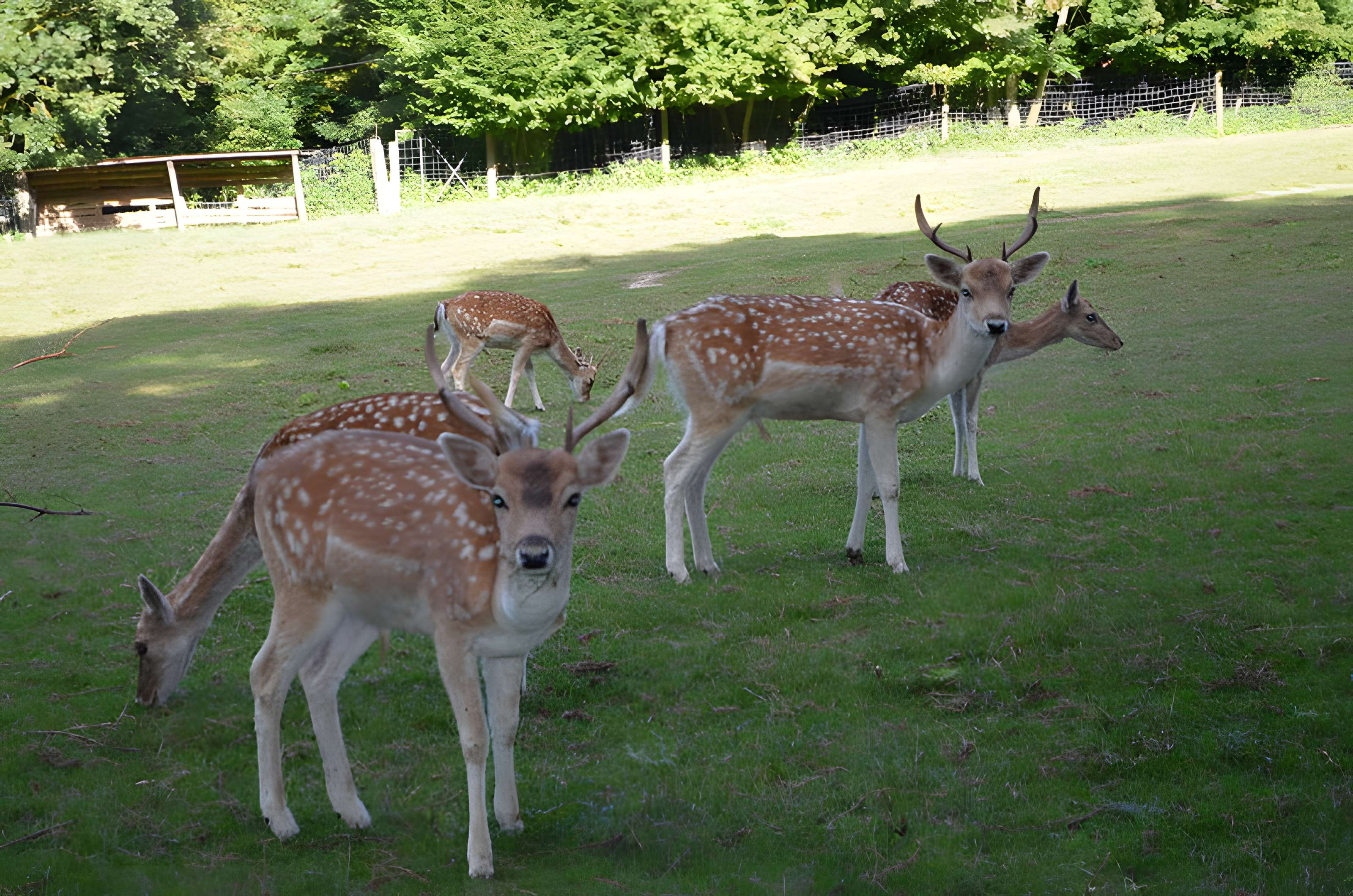 Château de Moidière