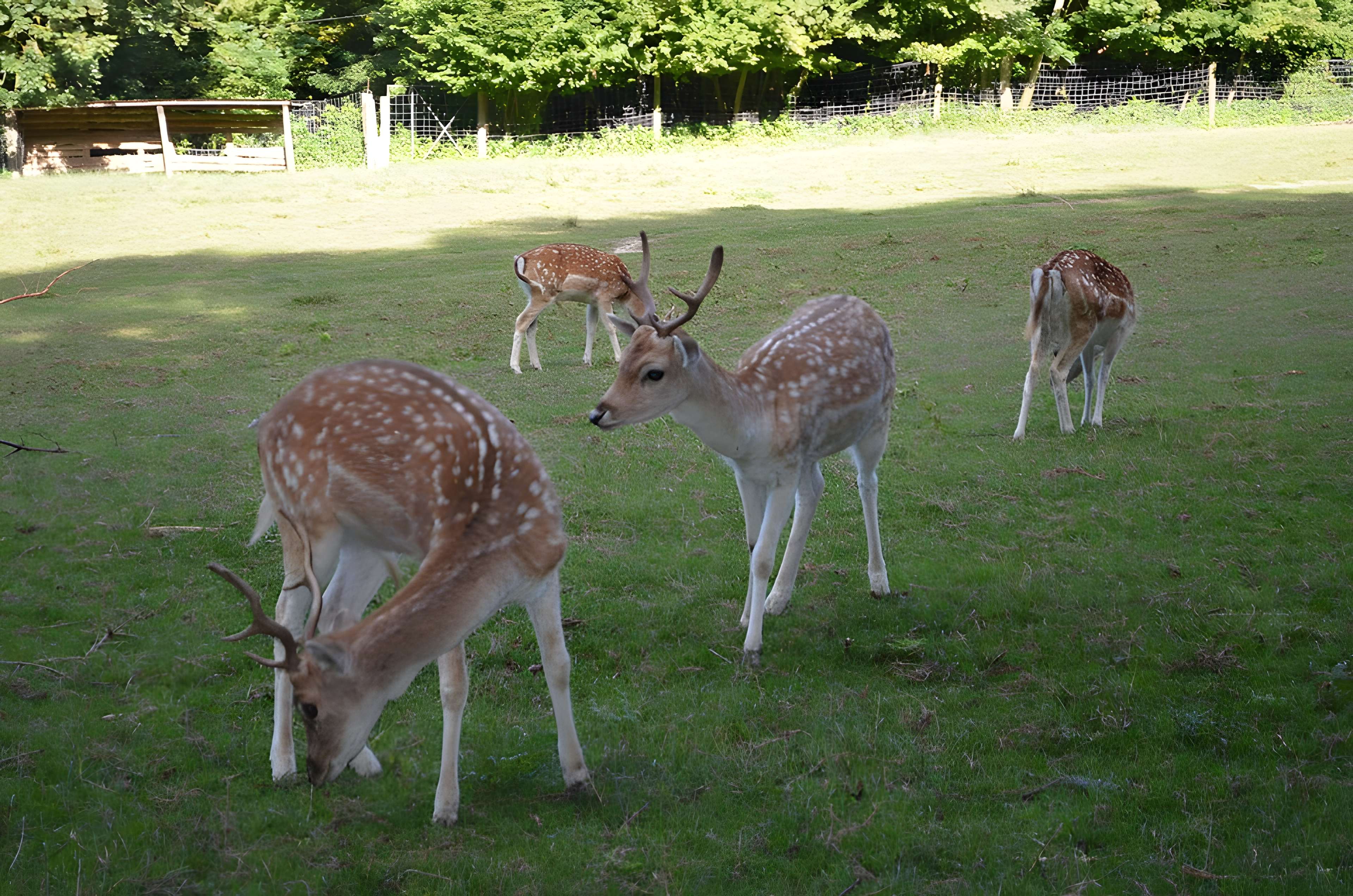 Château de Moidière