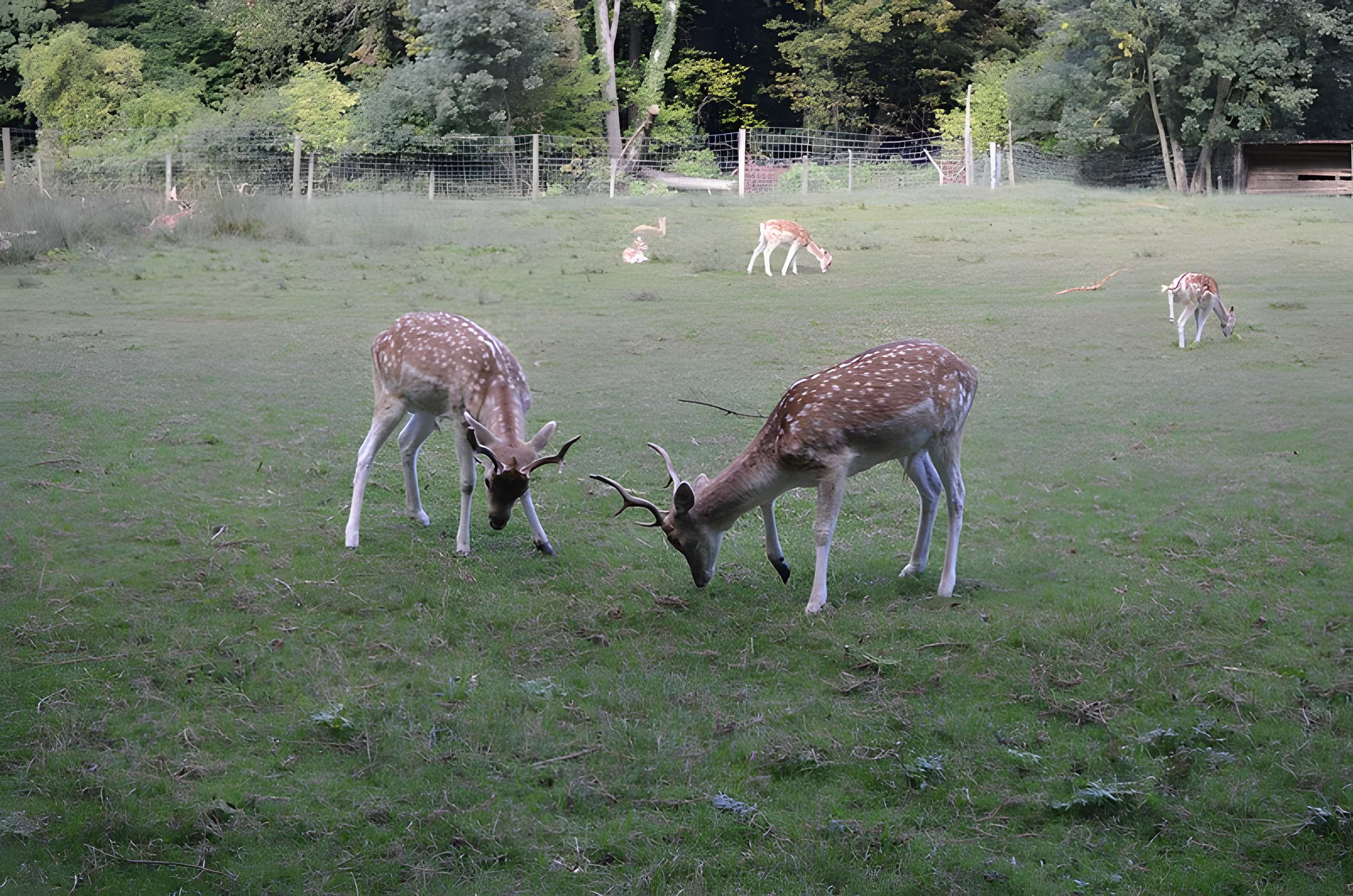 Château de Moidière