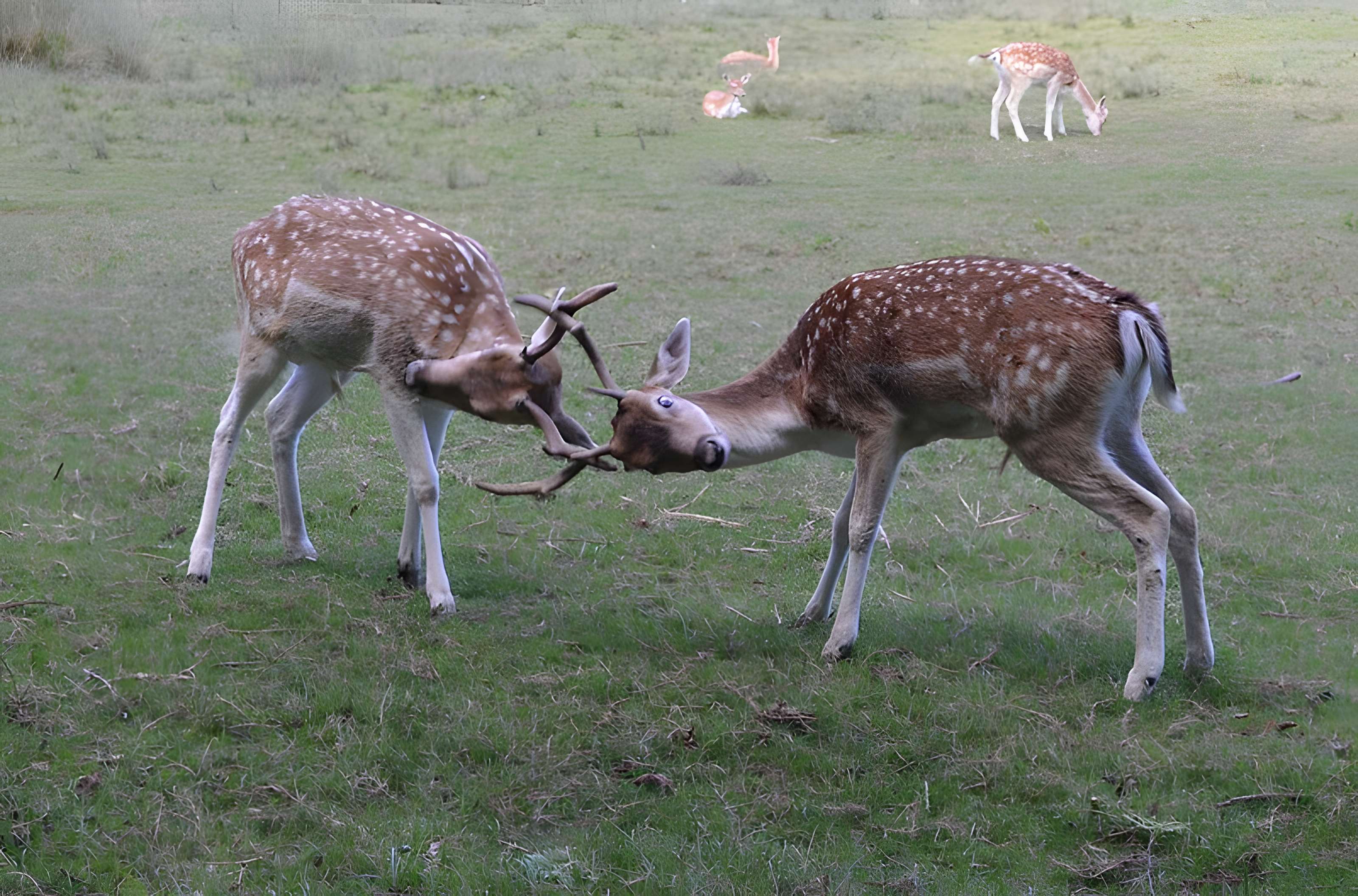 Château de Moidière