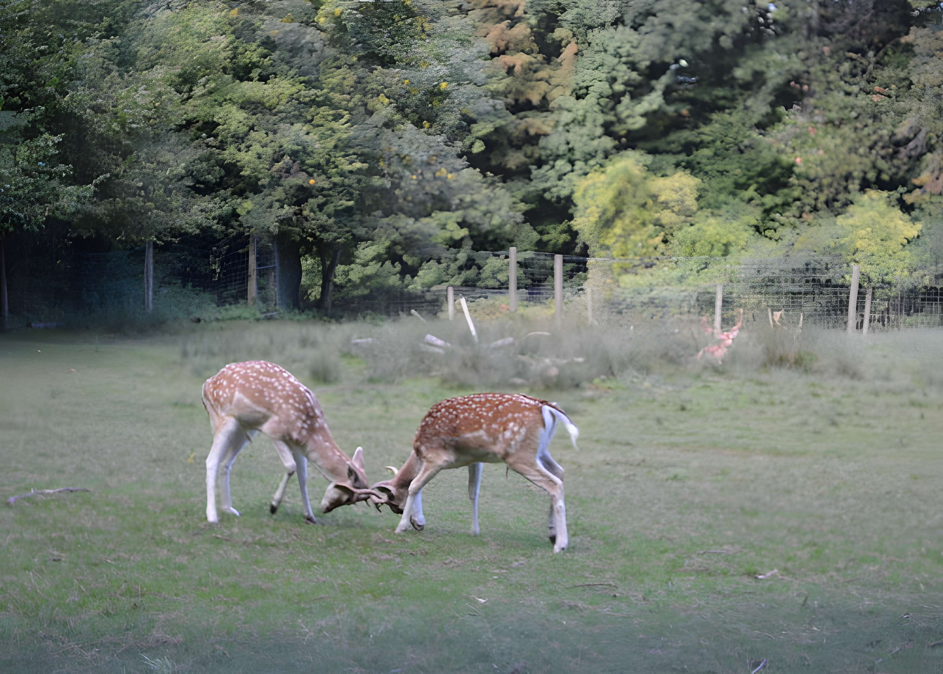 Château de Moidière