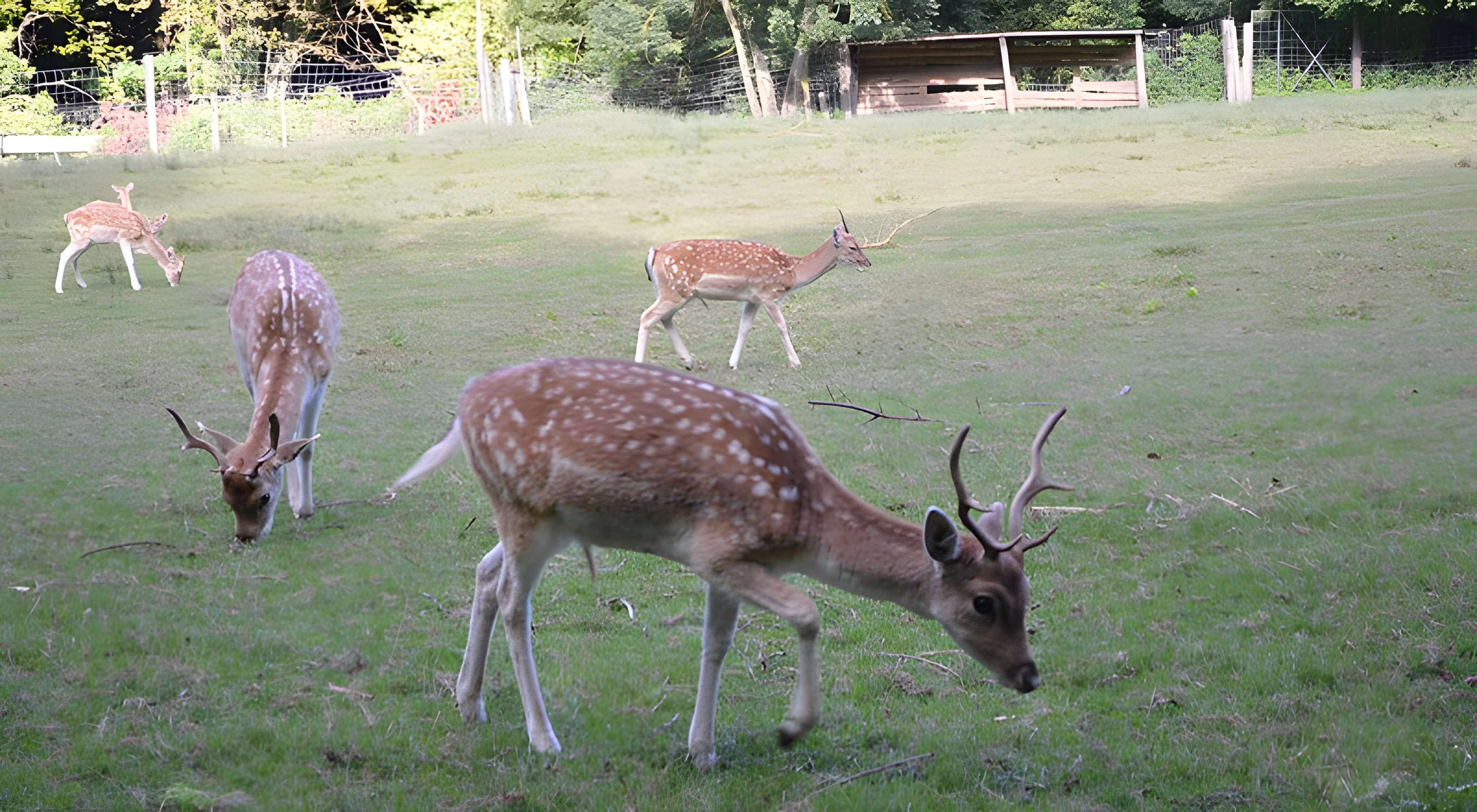 Château de Moidière