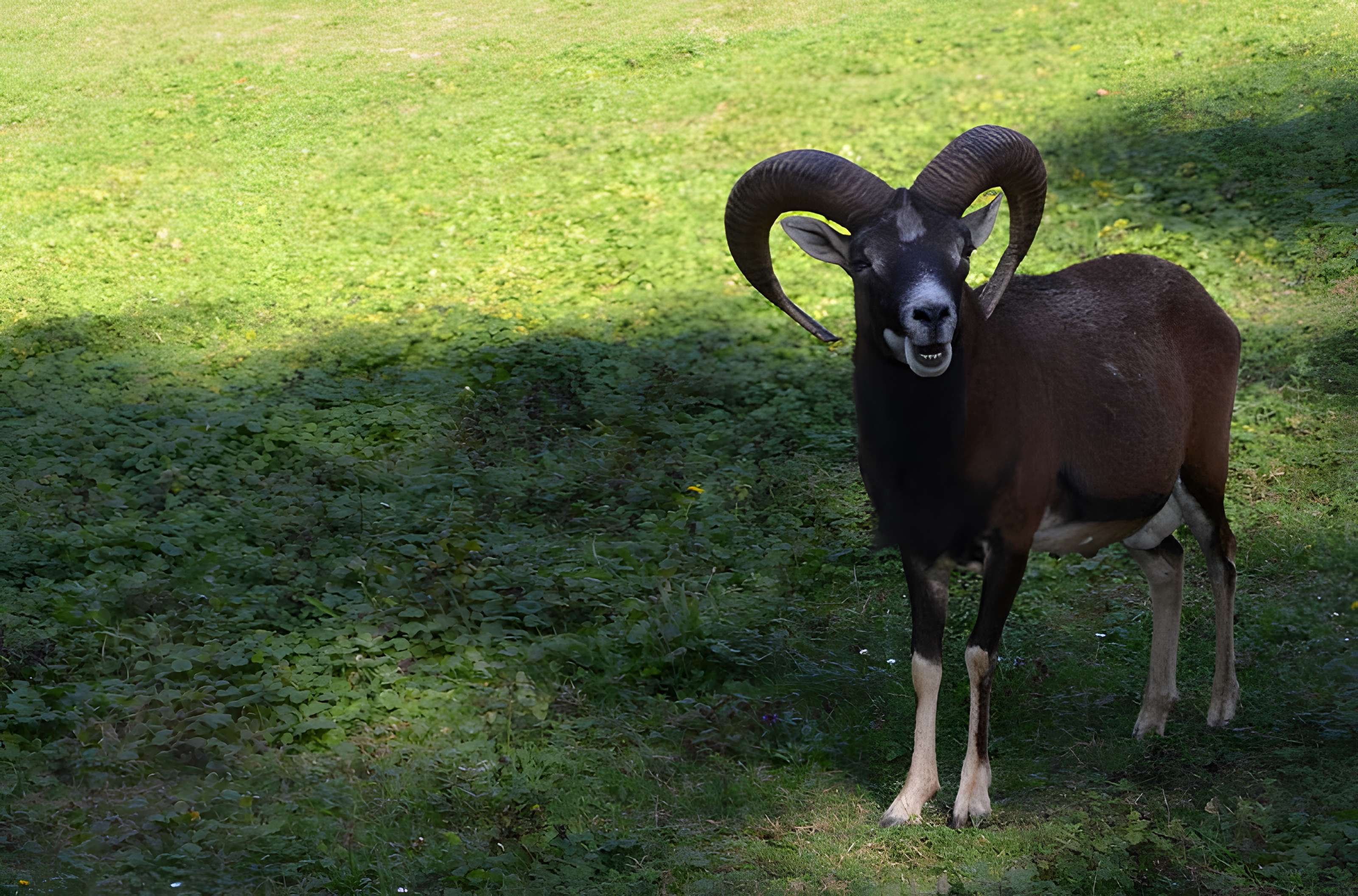 Château de Moidière