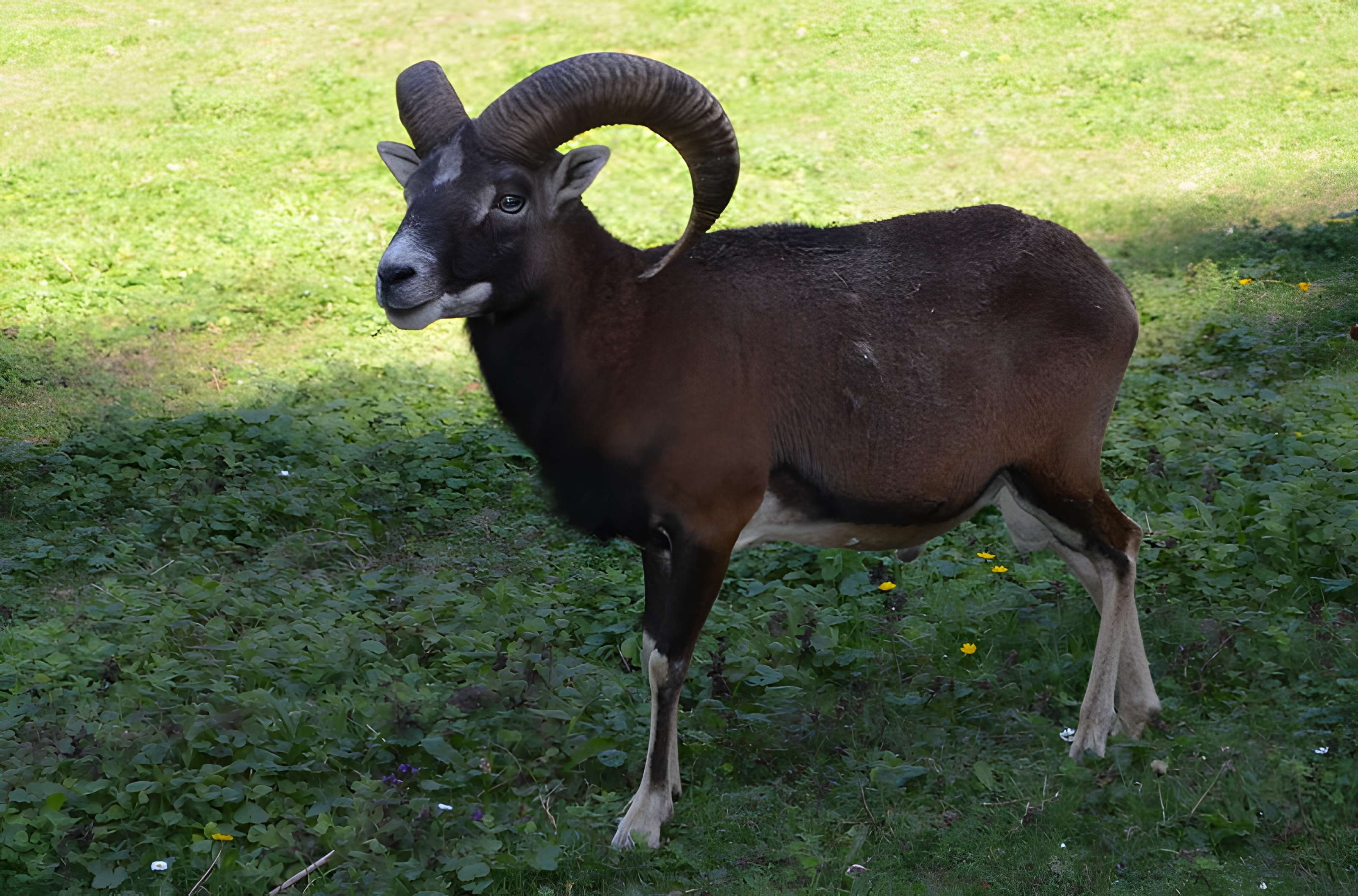 Château de Moidière