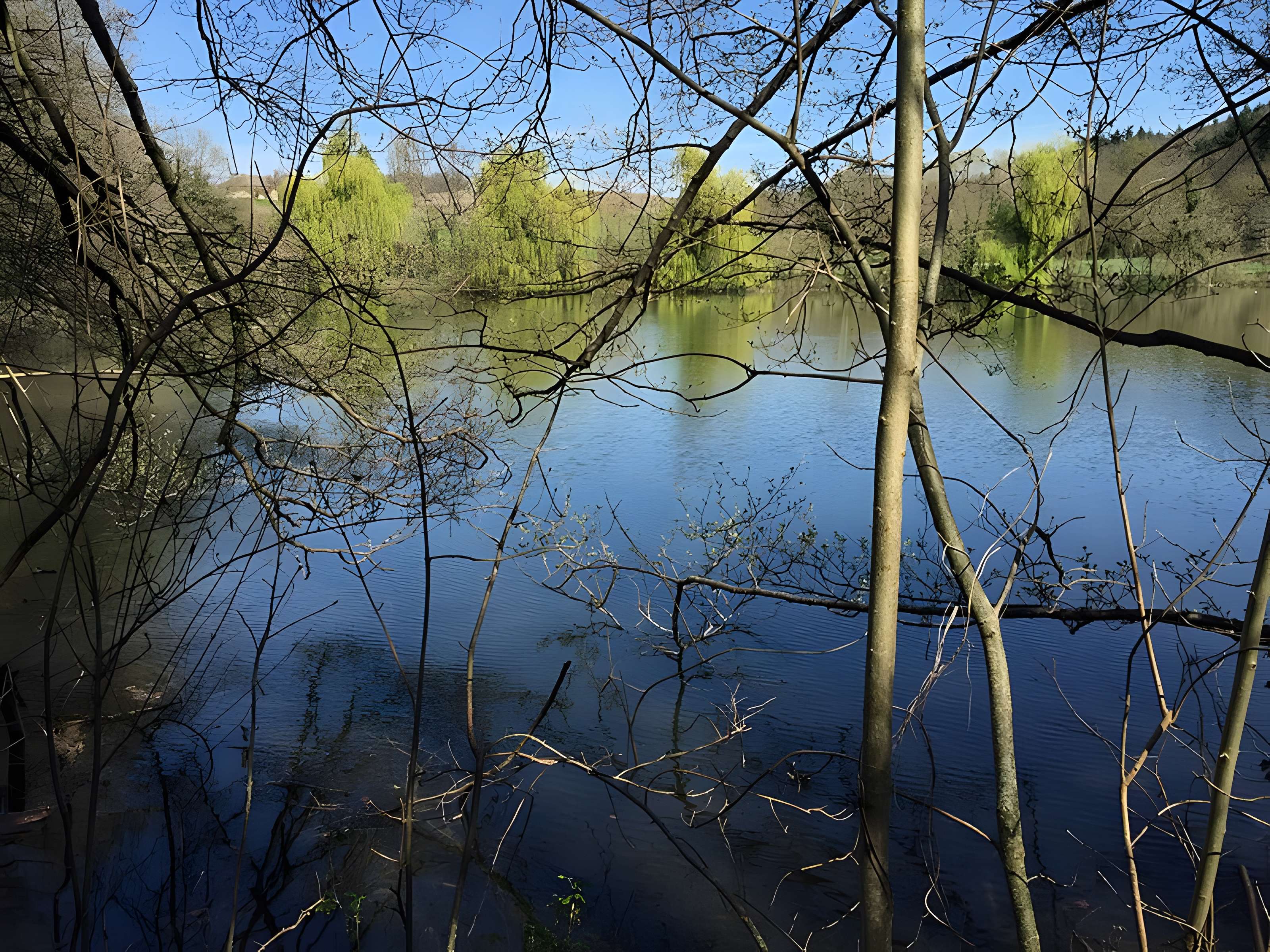 Château de Moidière