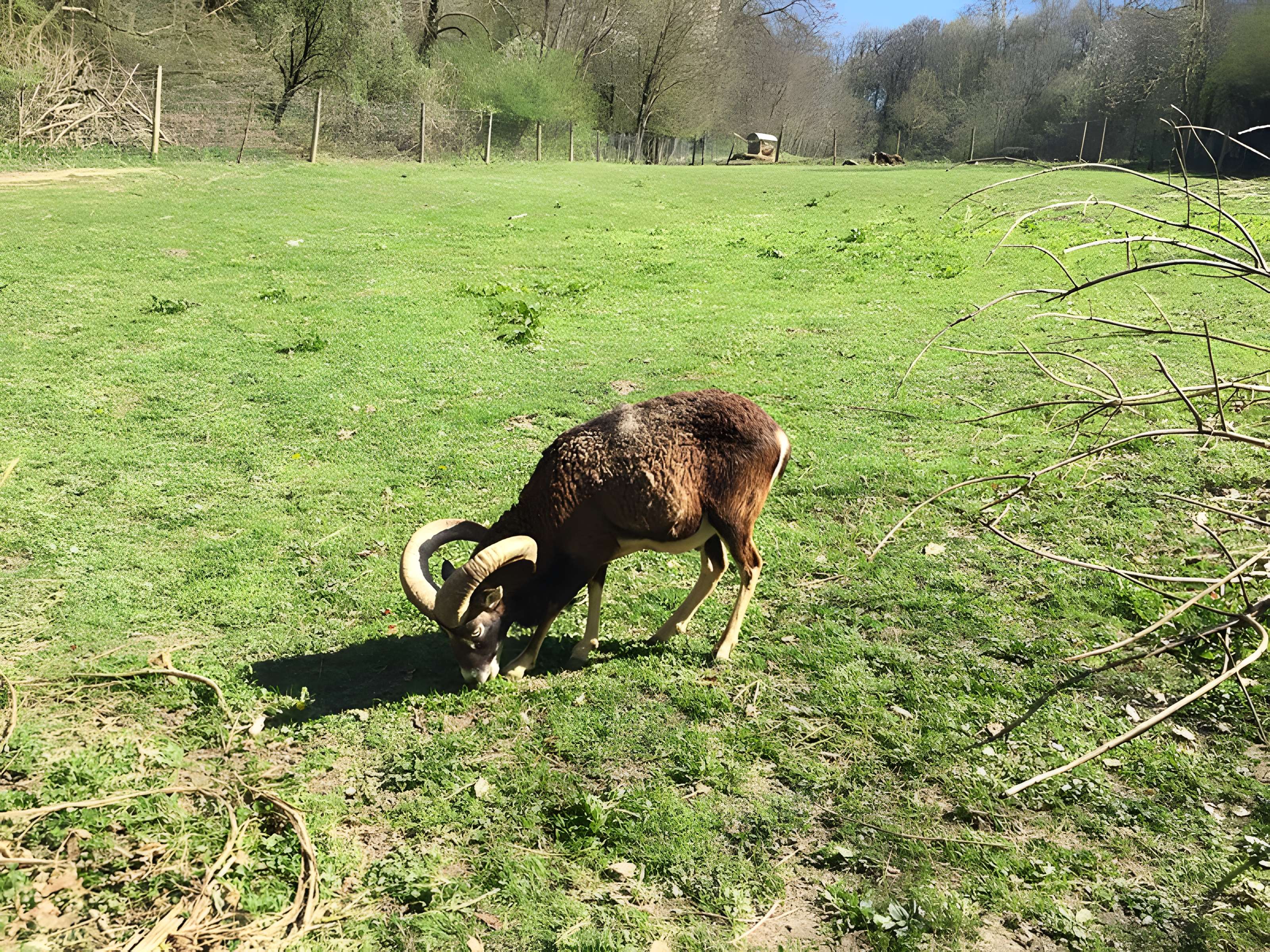 Château de Moidière
