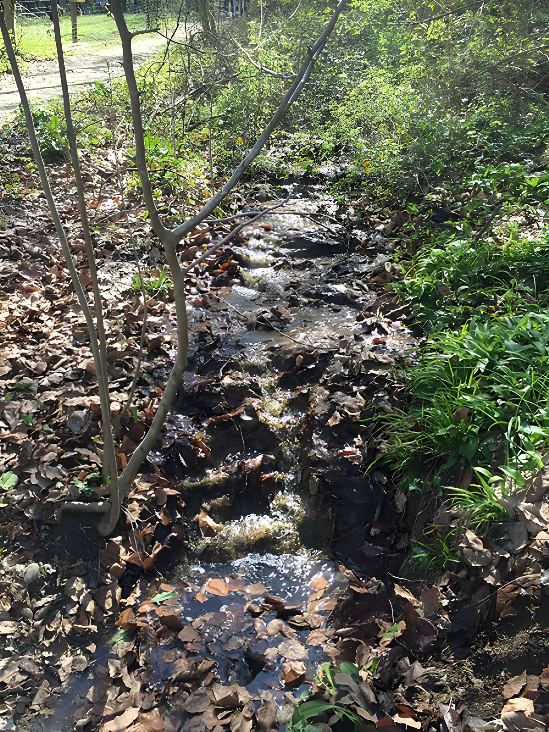 Château de Moidière