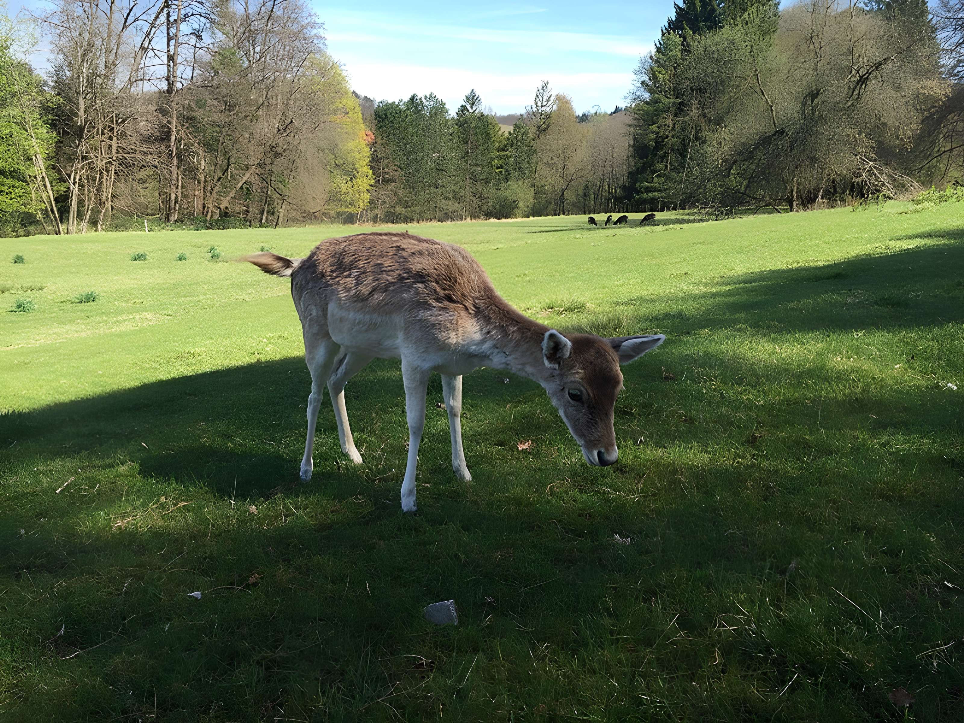 Château de Moidière