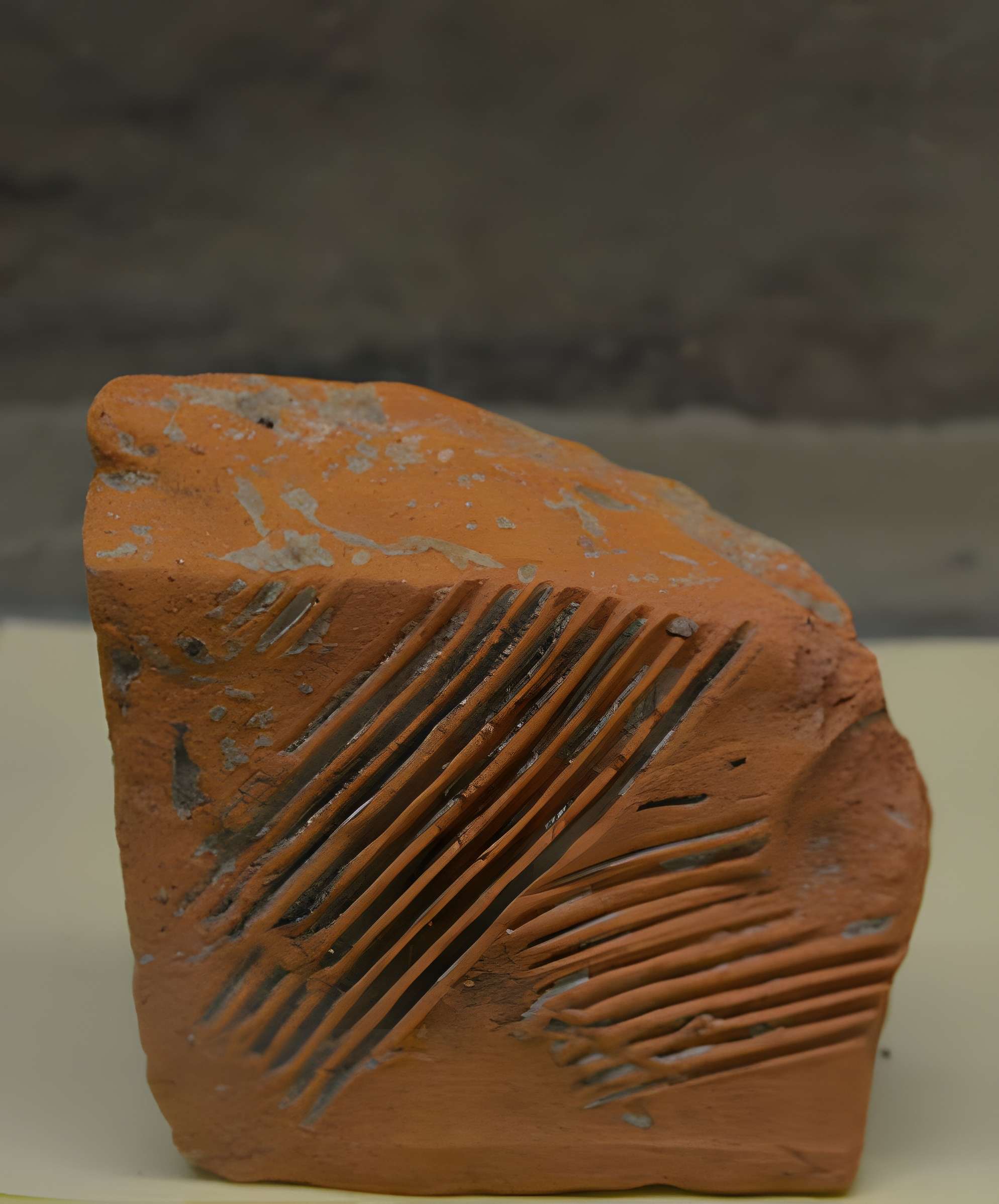 Château de Moidière