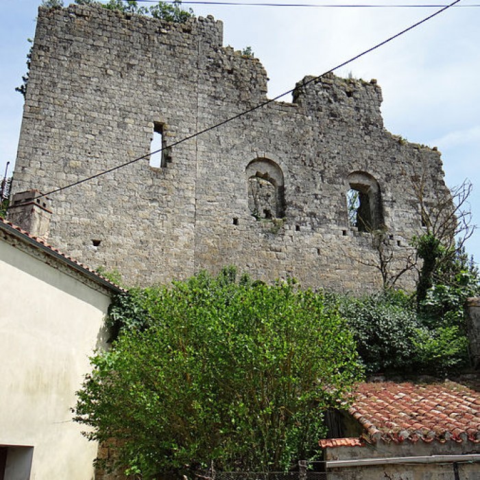 Photo de Château de Mongaillard