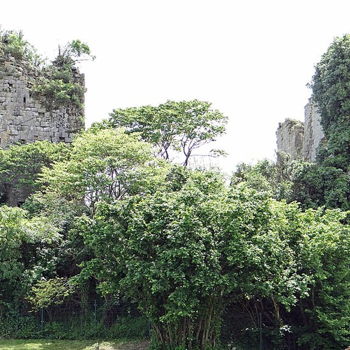Photo de Château de Mongaillard