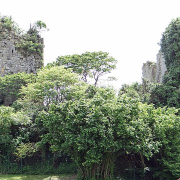 Château de Mongaillard