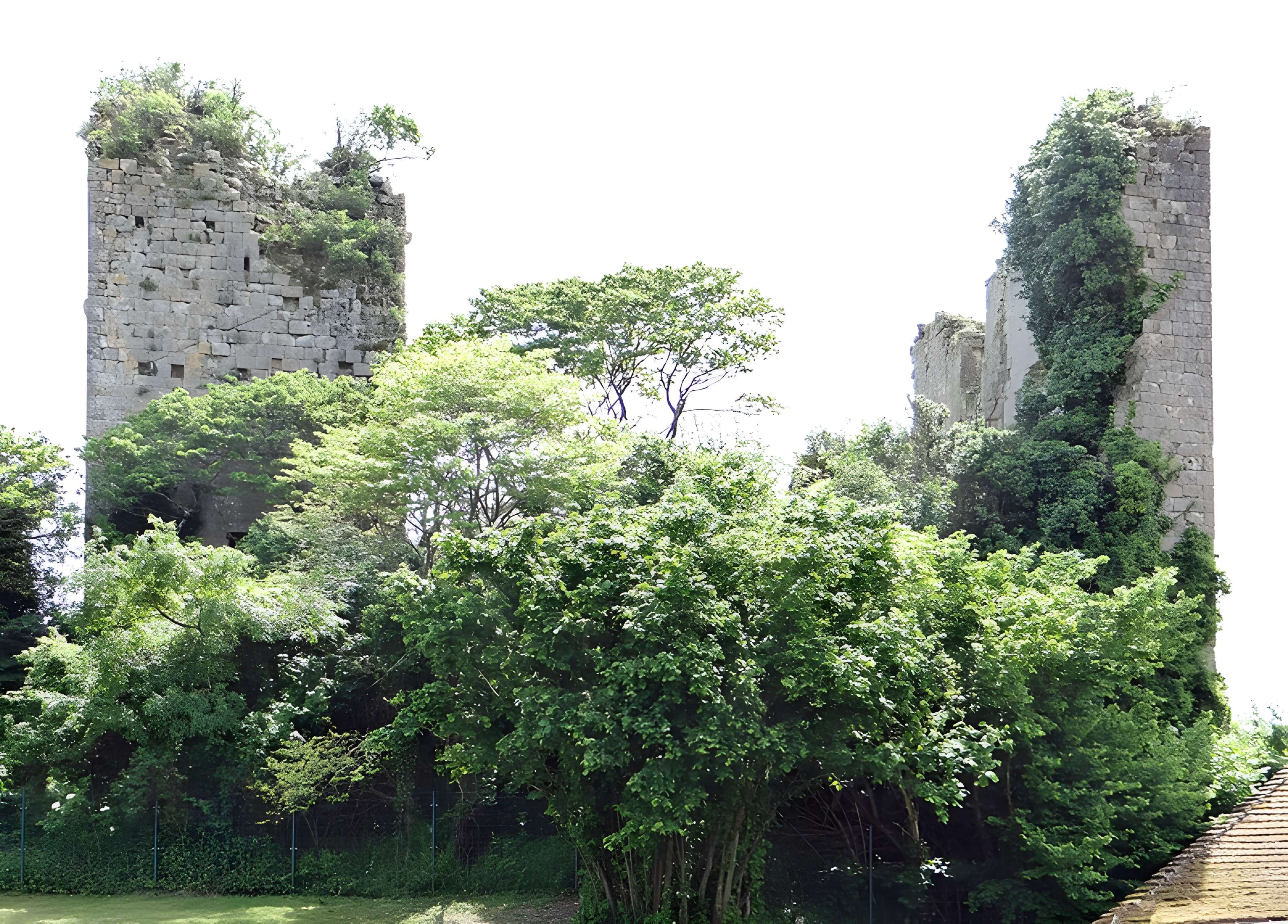 Château de Mongaillard