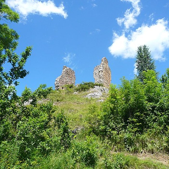 Photo de Château de Montaillou