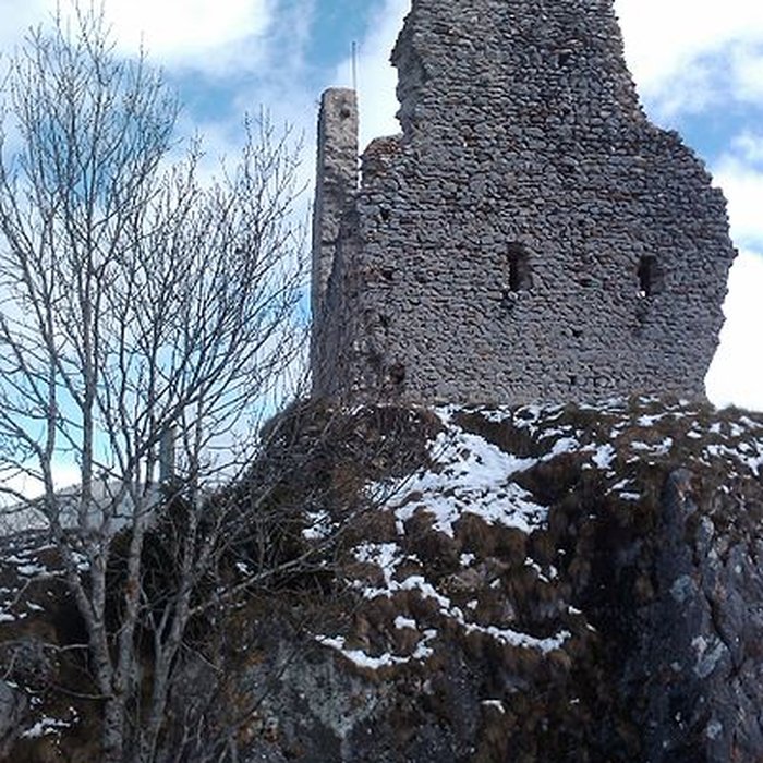 Photo de Château de Montaillou