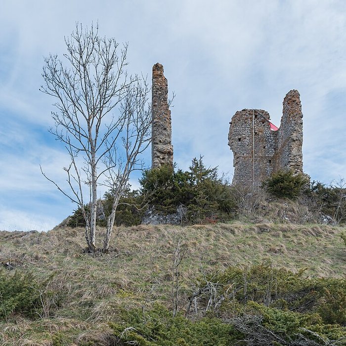 Photo de Château de Montaillou