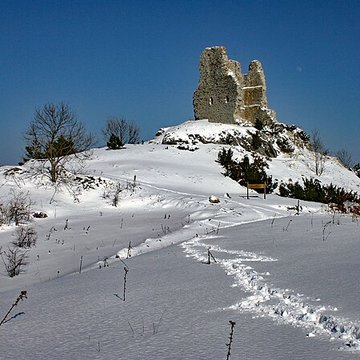 Château de Montaillou