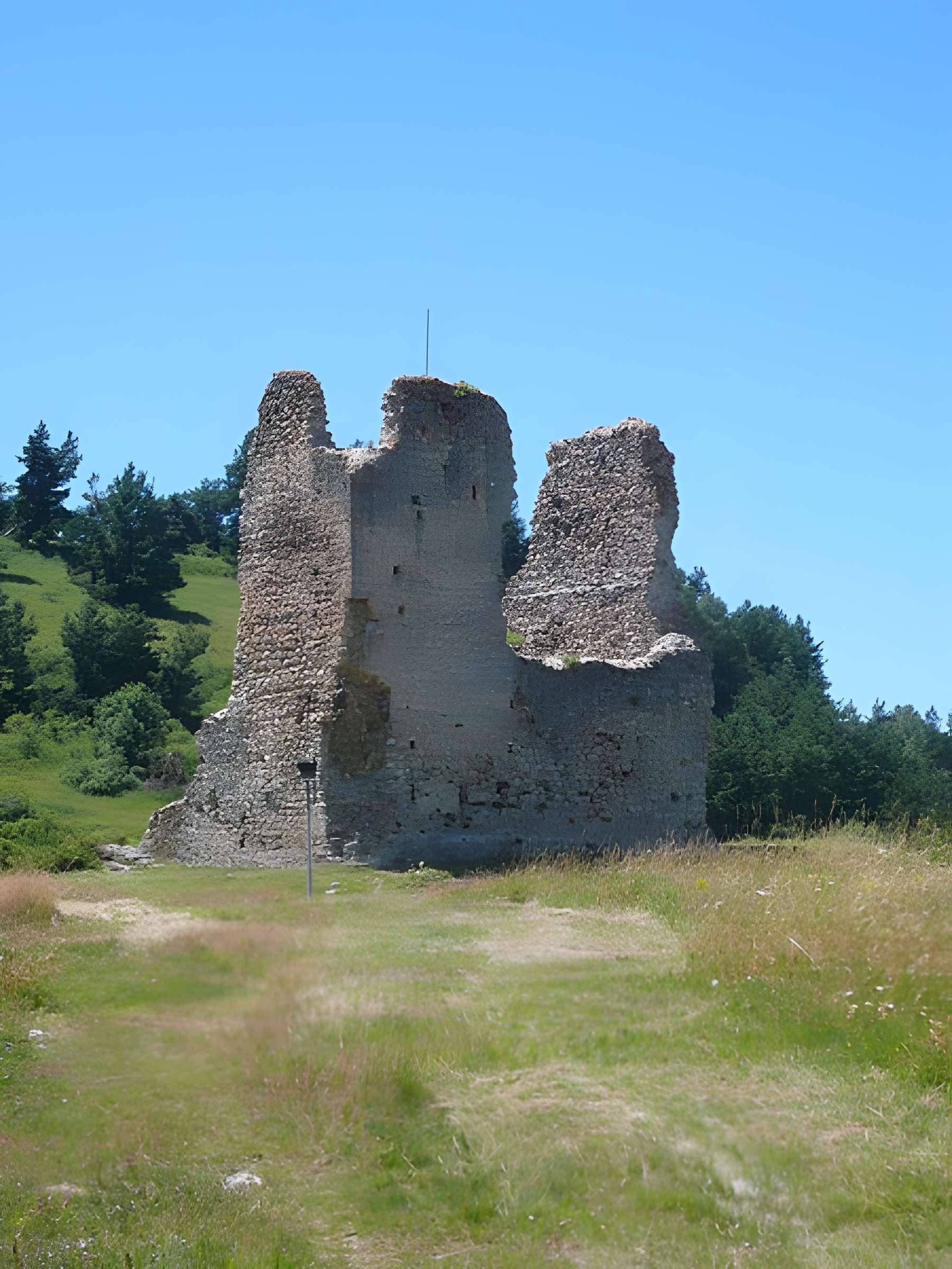 Château de Montaillou 