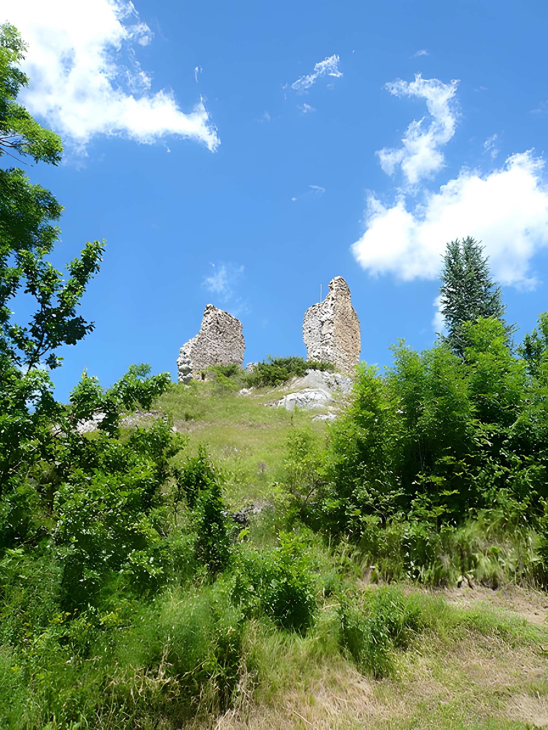 Château de Montaillou