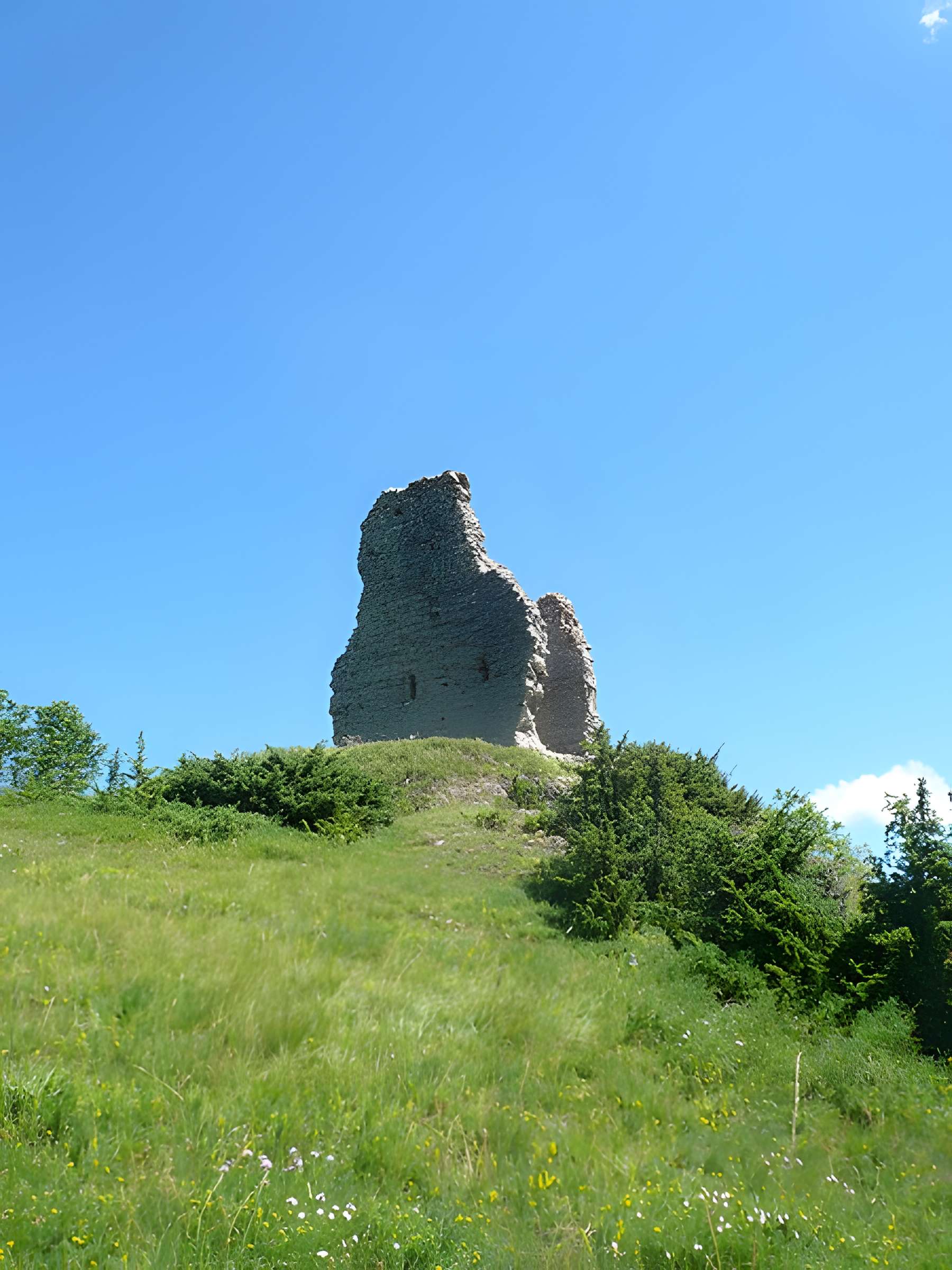 Château de Montaillou