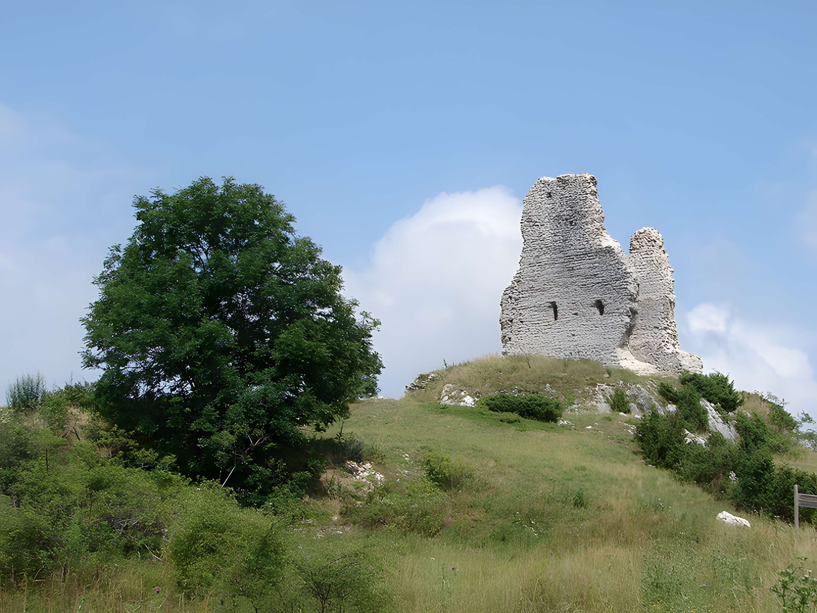Château de Montaillou