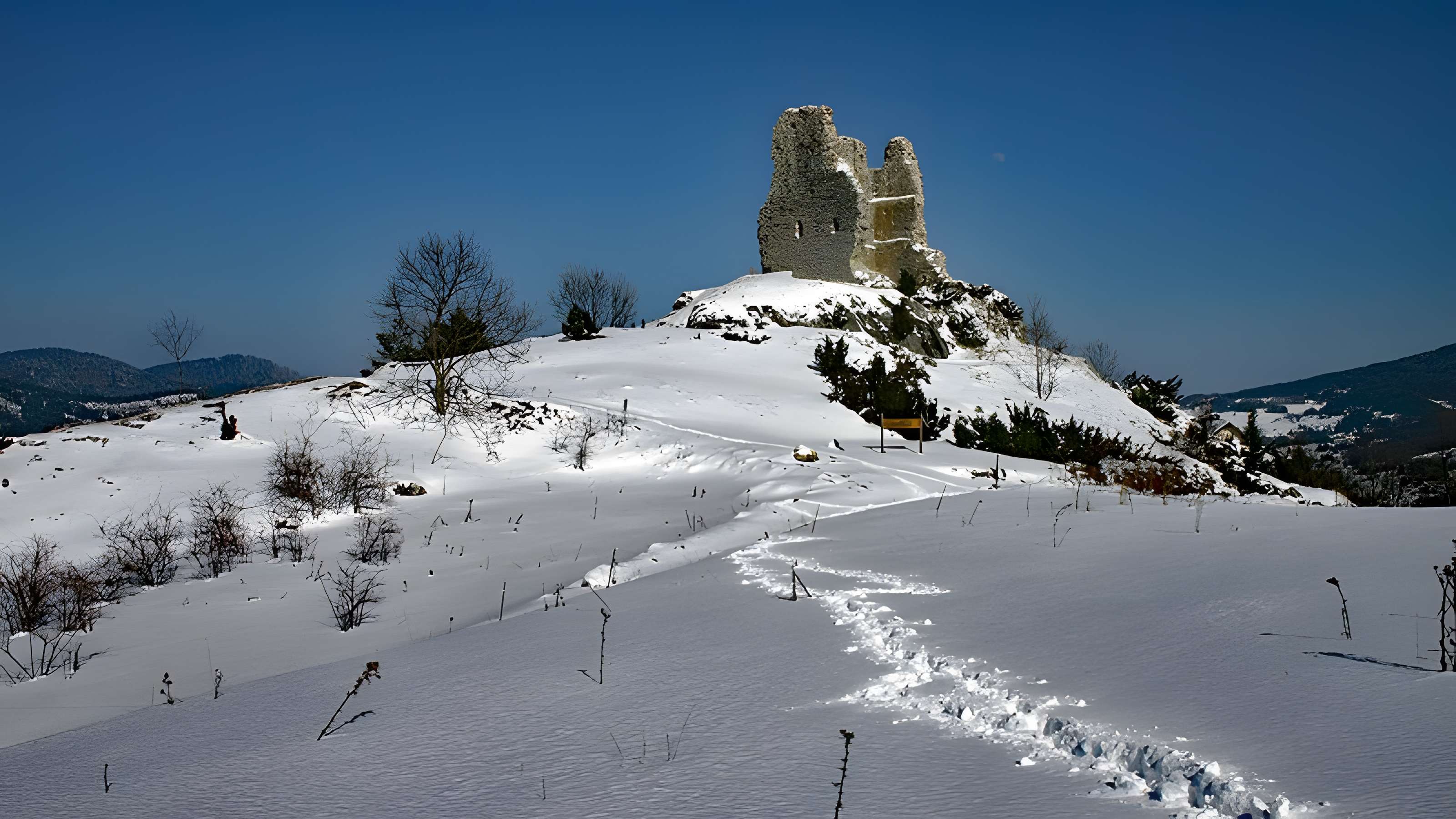 Château de Montaillou