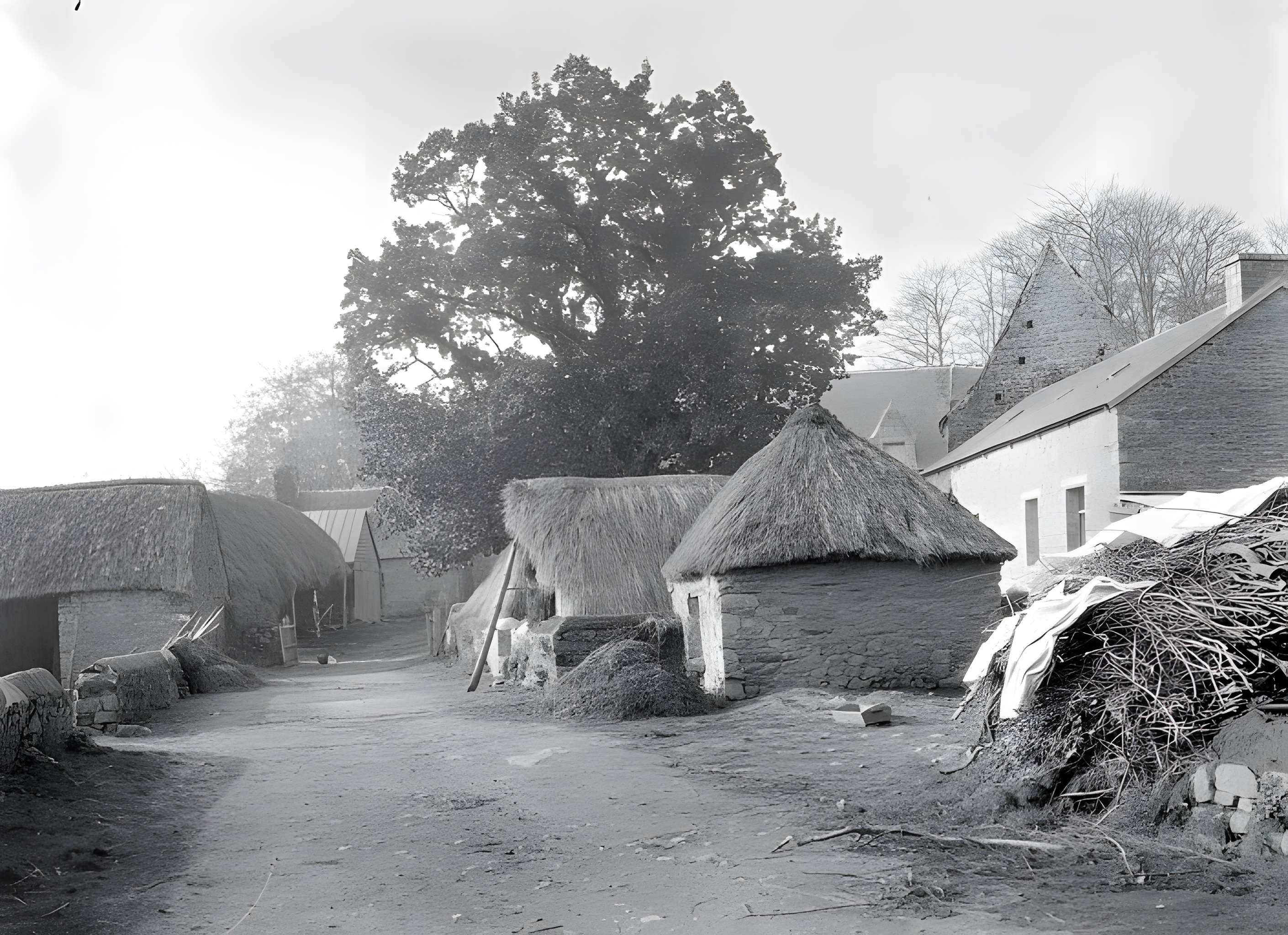 Château de la Roche-Jagu