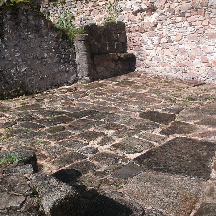 Photo de Restes du château de Montgilbert