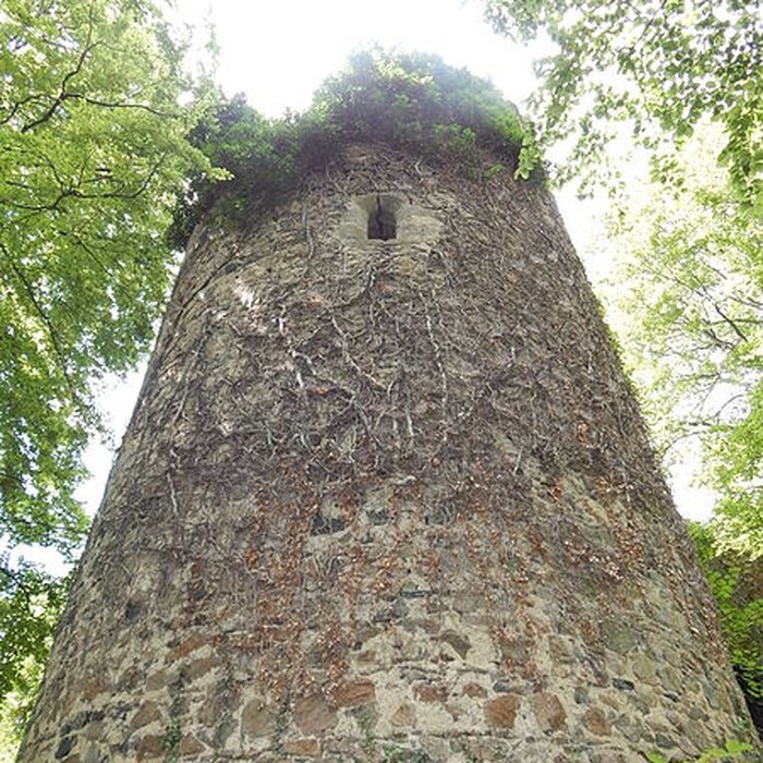 Photo de Restes du château de Montgilbert