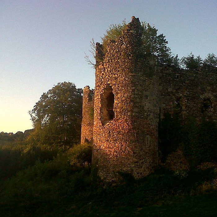 Photo de Restes du château de Montgilbert