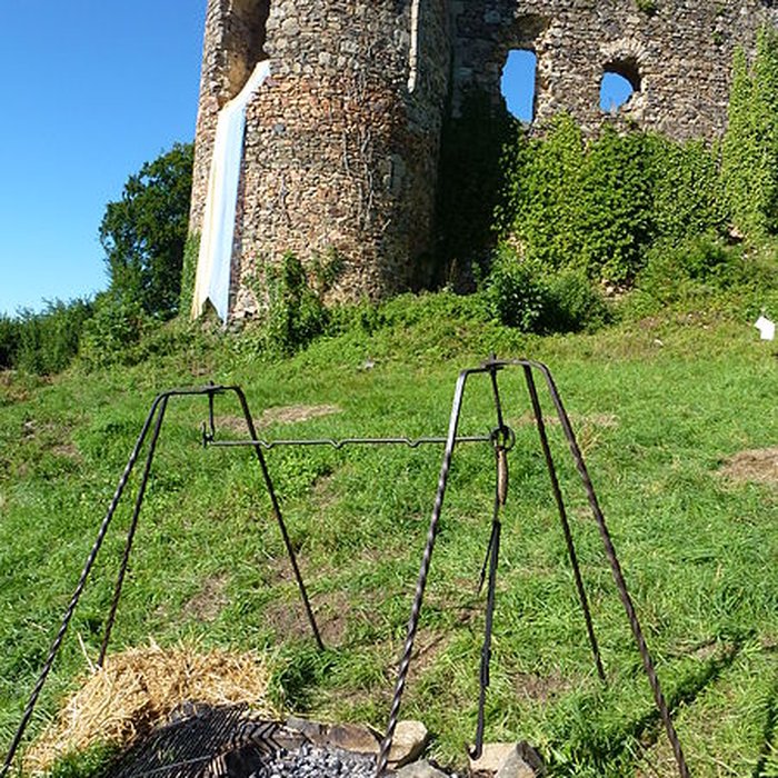 Photo de Restes du château de Montgilbert