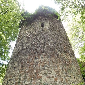 Restes du château de Montgilbert