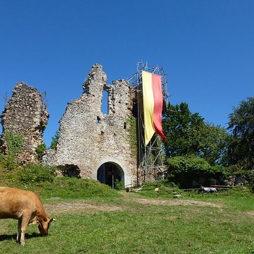 Restes du château de Montgilbert