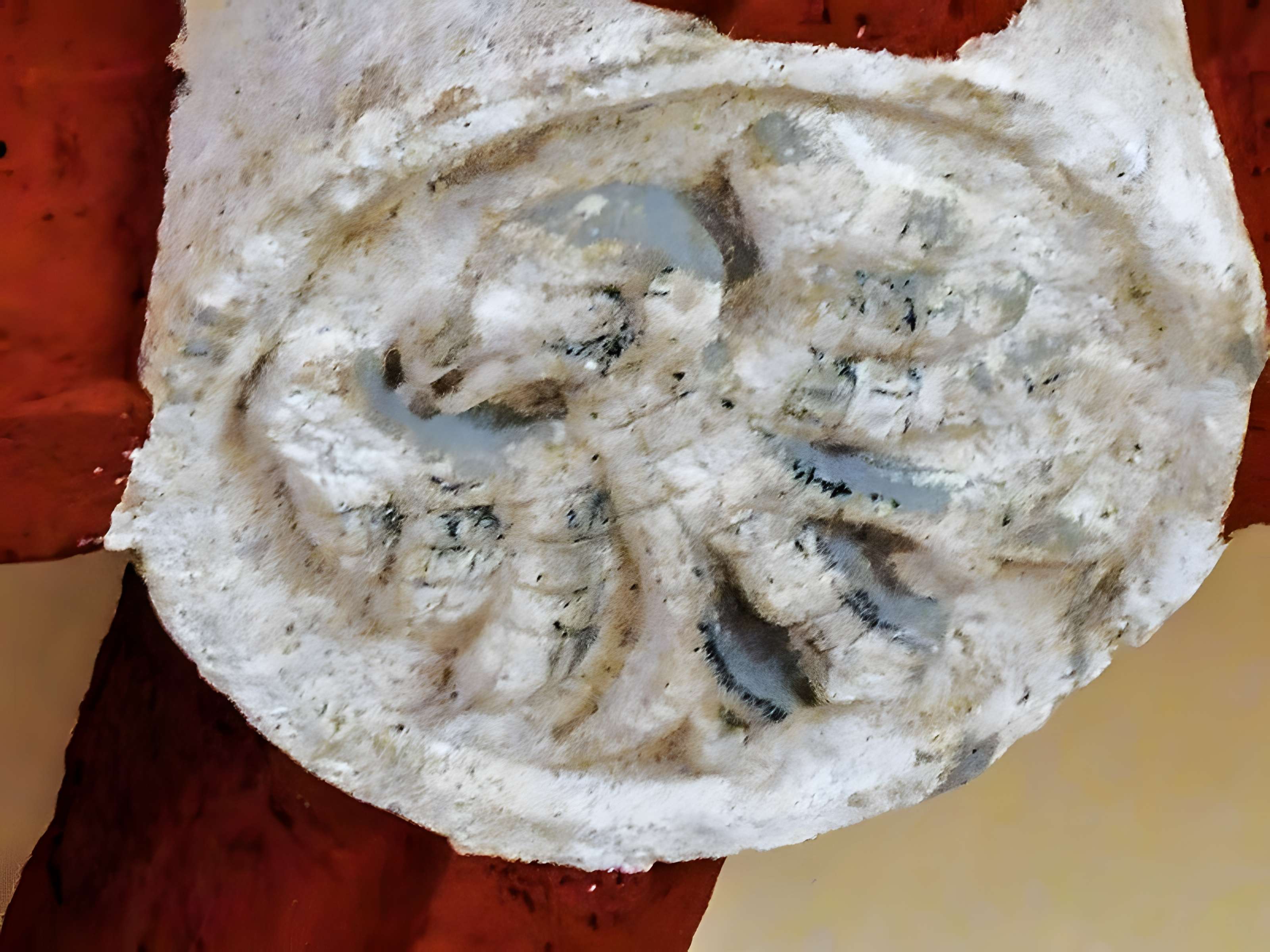 Château de Montjoie-le-Château