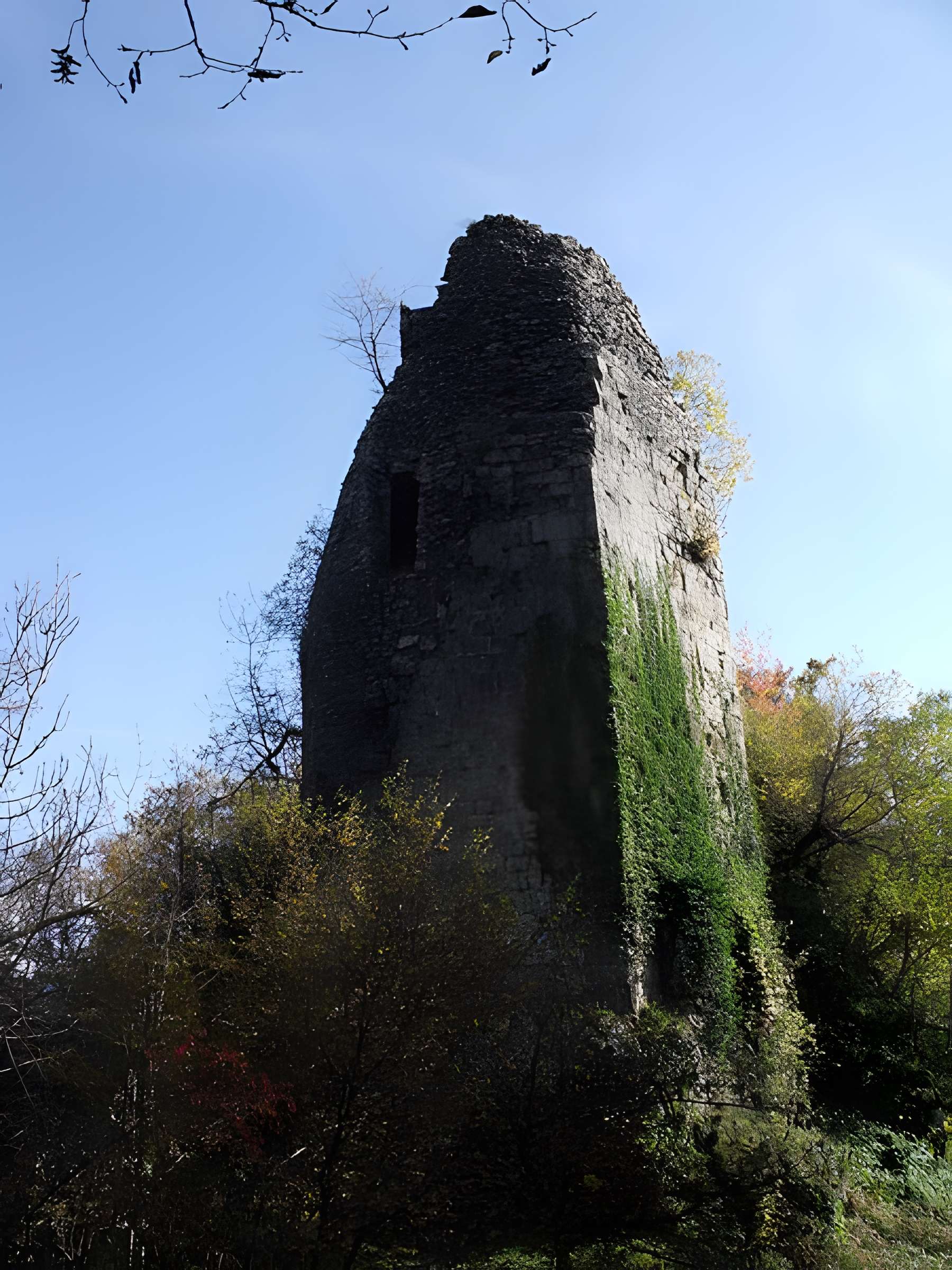 Château de Montjoie-le-Château 