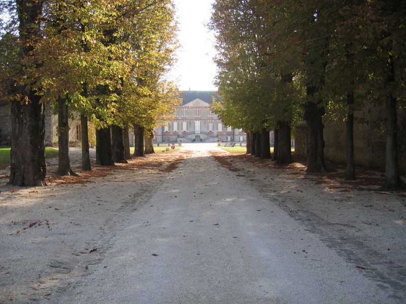Photo de Château de Montmirail