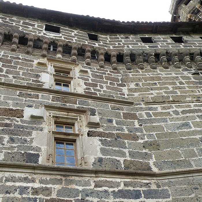 Photo de Château de la Rochelambert