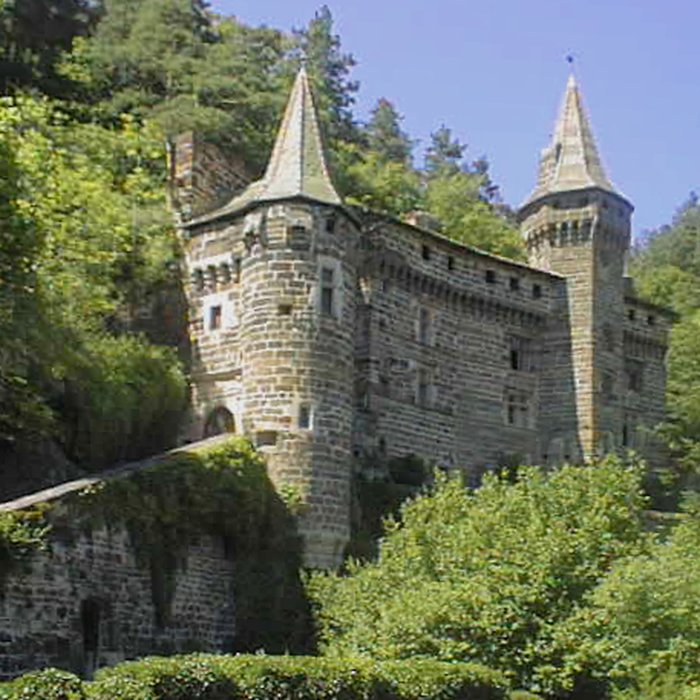Photo de Château de la Rochelambert