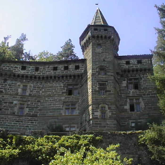 Photo de Château de la Rochelambert